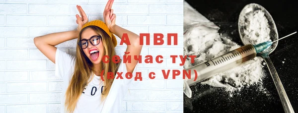 молекула духа Киреевск