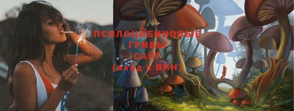 прущая мука Каменка