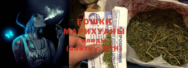 молекула духа Киреевск