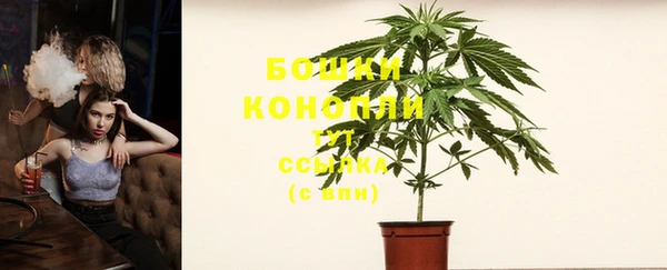 прущая мука Каменка