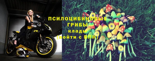 герыч Каменногорск