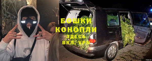 молекула духа Киреевск