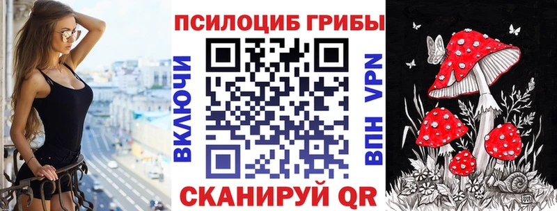 Псилоцибиновые грибы Cubensis  blacksprut ссылка  Кодинск 
