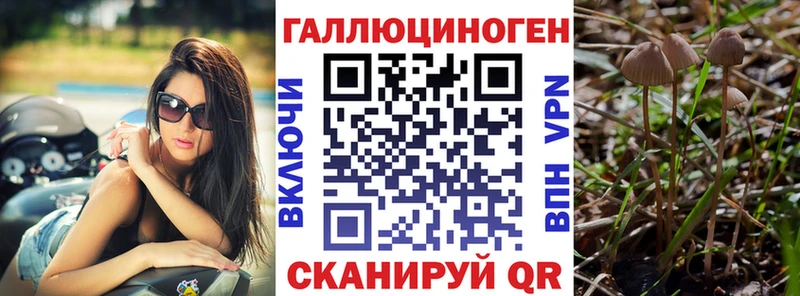 Галлюциногенные грибы MAGIC MUSHROOMS Кодинск